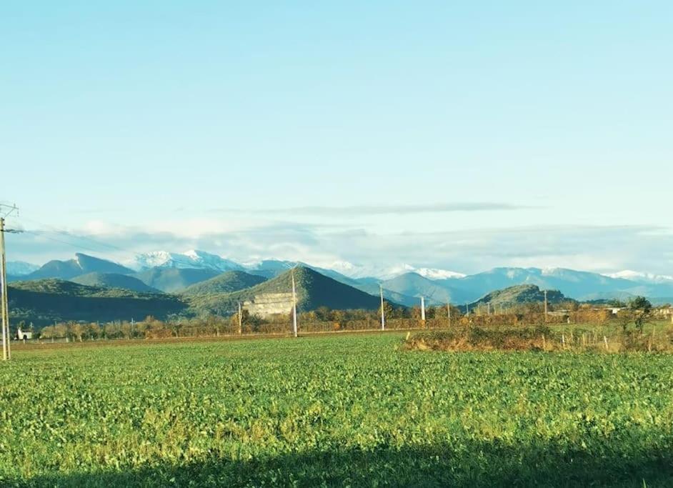 T3 Au Pied Des Pyrenees Pointis-de-Riviere